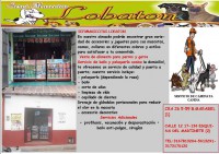 /album/servimascotas-lobaton/lobaton-2-jpg/